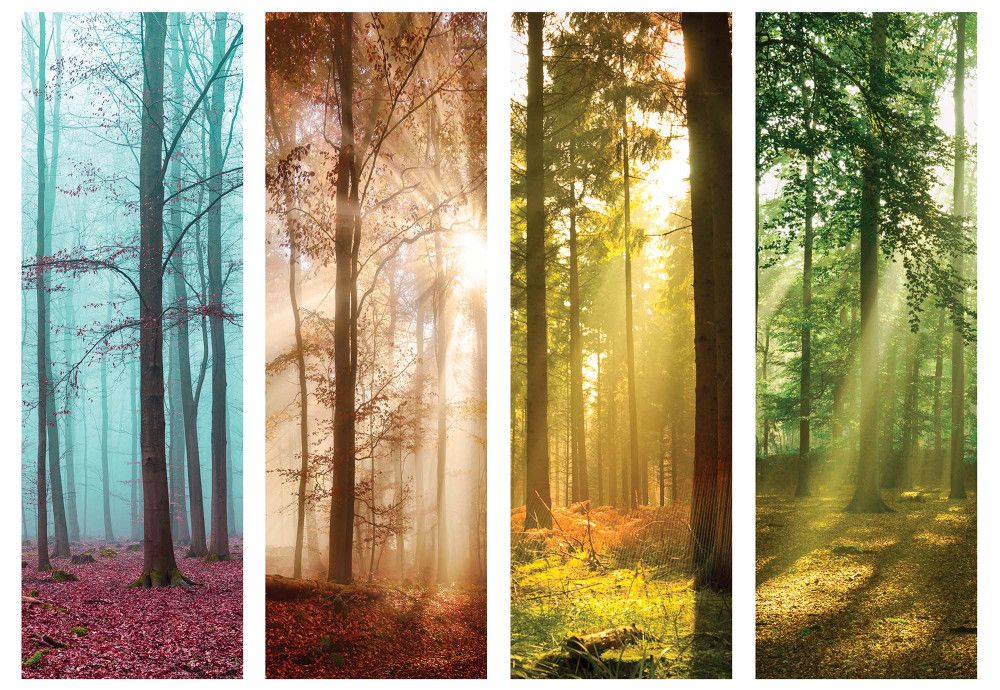 Štyri ročné obdobia miznú: Slovensko mení klímu rýchlejšie, než si pripúšťame