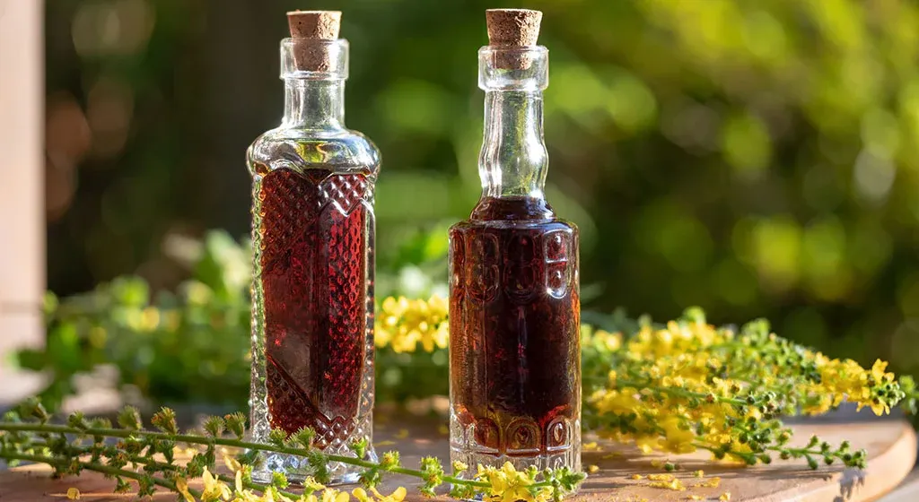 🌿 Ako si vyrobiť bylinnú tinktúru
