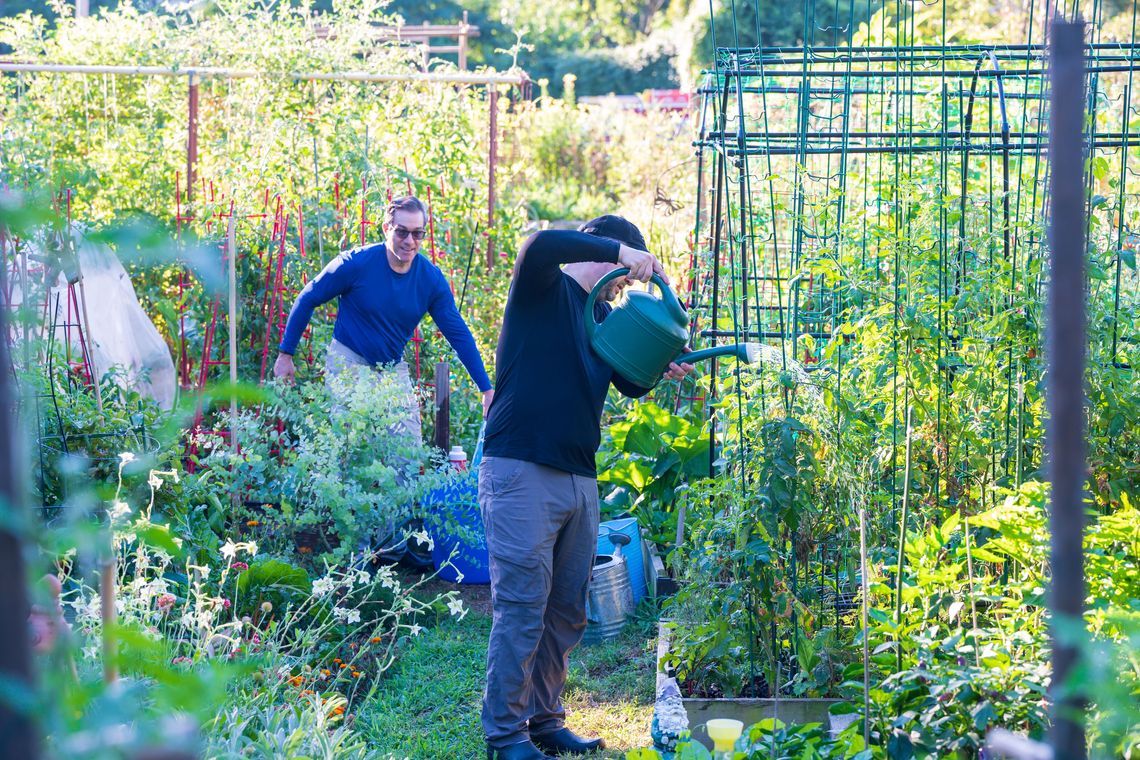 🌱 Ako založiť komunitnú záhradu: kompletný sprievodca pre každého, kto chce pestovať spolu