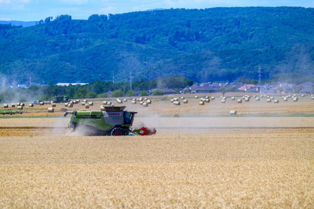Anglicko hlási katastrofálnu sezónu: druhá najhoršia úroda obilia v histórii