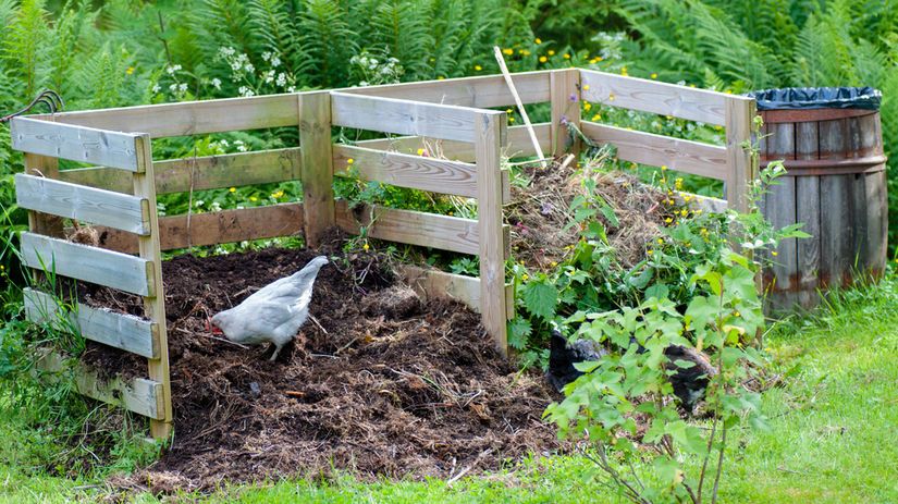 Kompost a pravidlá kompostovania: ako a kde správne kompostovať