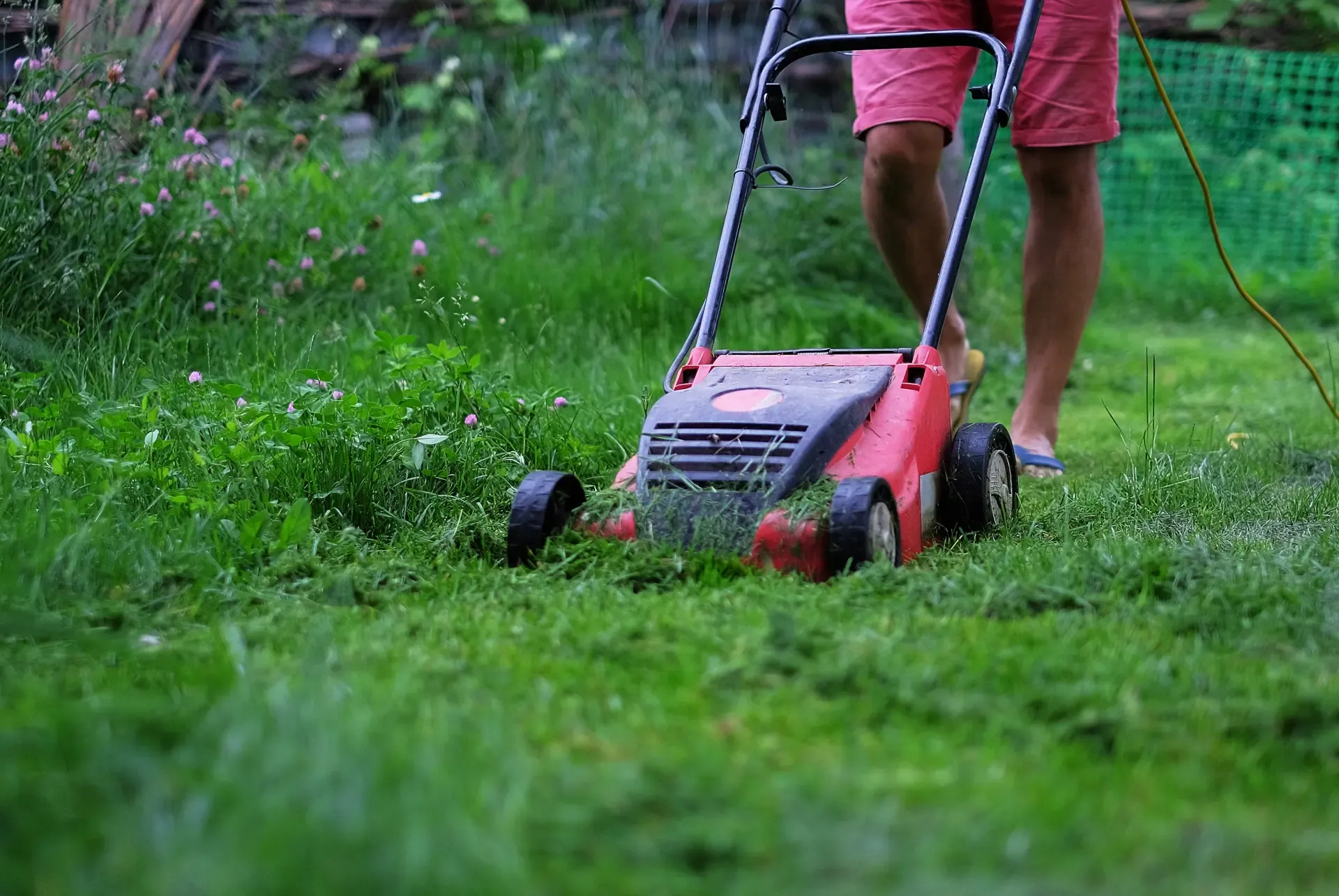 Čo je to mulčovanie a prečo prospieva pôde aj živinám