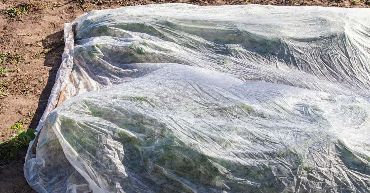 🌱 Netkané textílie v záhrade: nenahraditeľný pomocník po celý rok