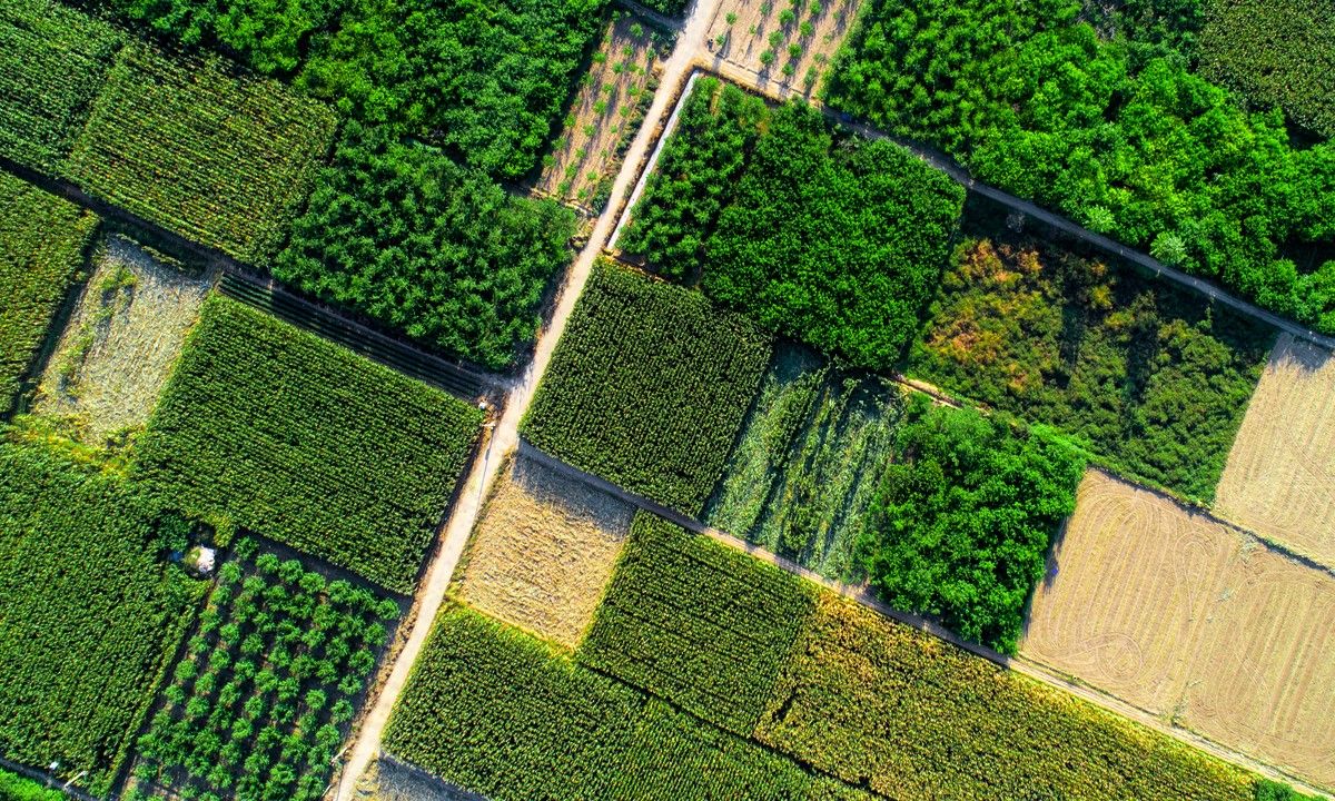 🌱 Pestrosť plodín ako základ udržateľného poľnohospodárstva