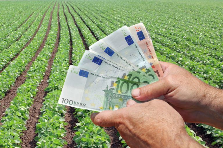 Poľnohospodárstvo dosiahlo v roku 2024 zisk 181,4 milióna eur