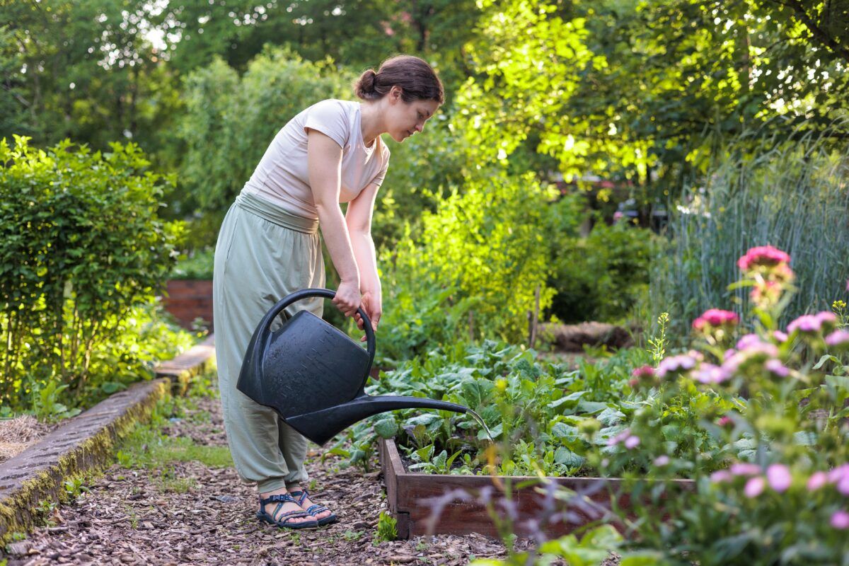 Tajomstvo dlhovekosti odhalené: Záhradkárčenie ako recept na dlhý život