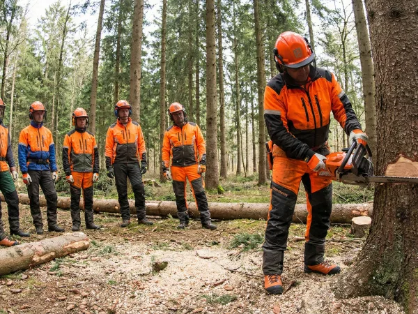 Базове навчання - обслуговування ручної бензопили (заготівля деревини)