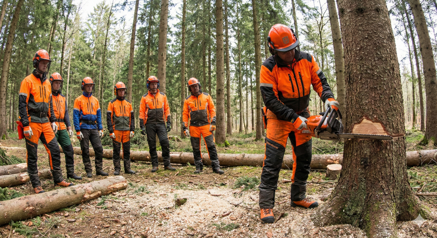 Basic training - operation of and hand-held chainsaw (timber harvesting)