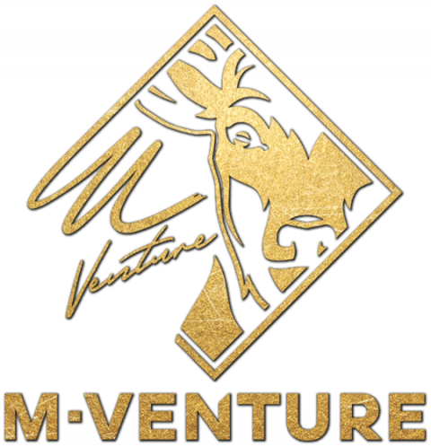 Company logo: m-venture