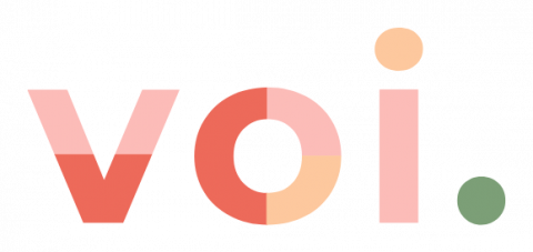 Company logo: voi technology