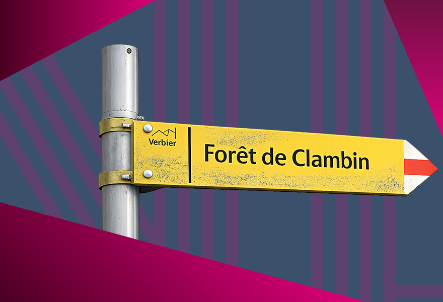 Header image of page : BALADE MUSICALE : FORÊT DE CLAMBIN