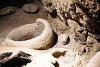 L’arqueologia del vi