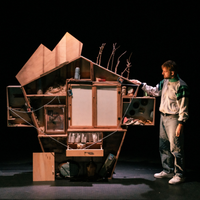 Ells i jo, o quella sensació que els arbres et miren