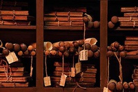 Lectiones in bibliotheca