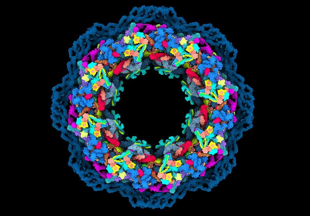49 Artificial intelligence powers protein-folding predictions