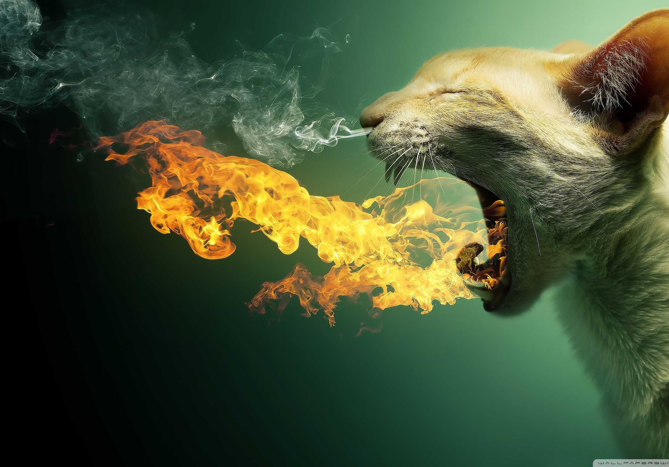 The Best Headlines Clone