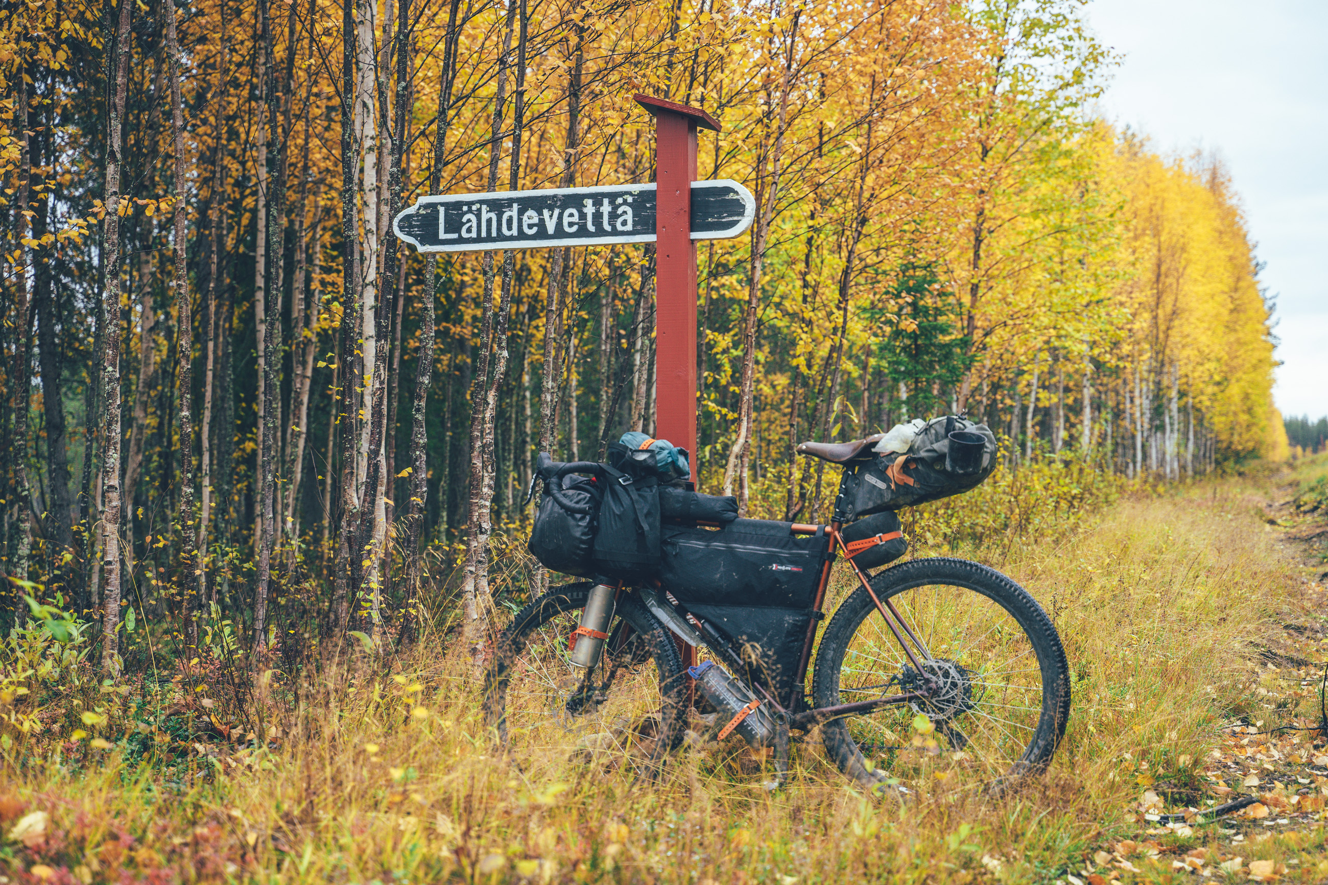 Non-profit user image