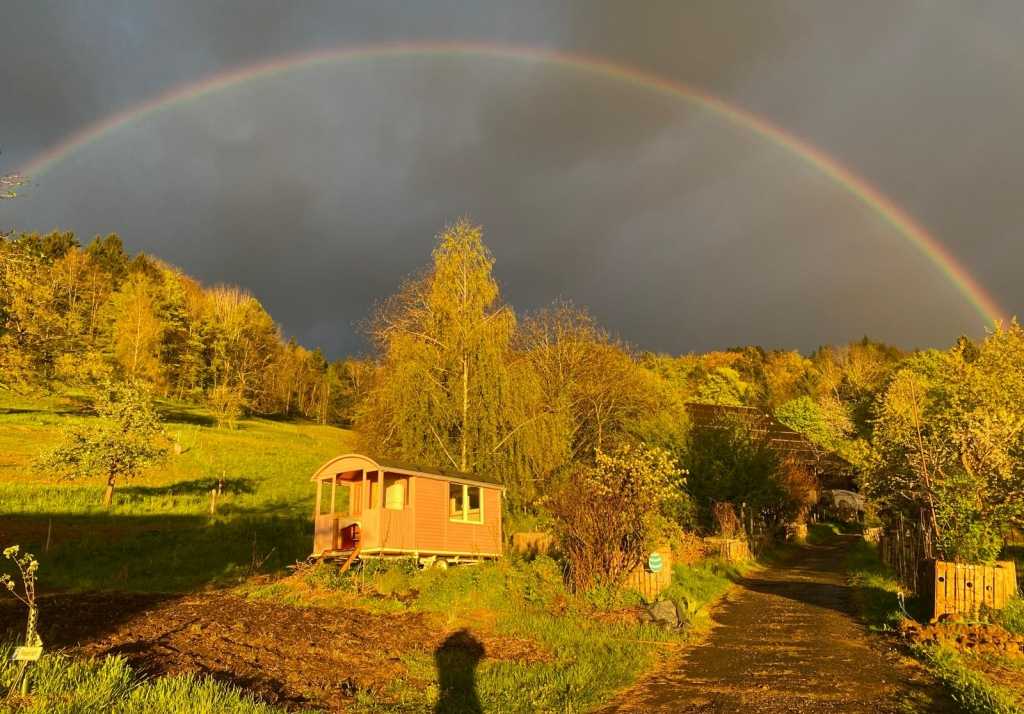 Project Detail image