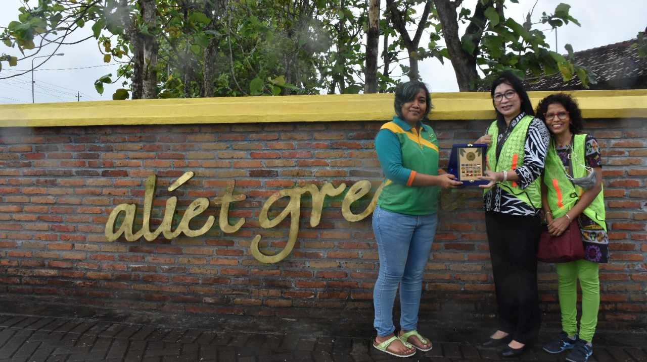 Review Historical Financials (Aliet Green)