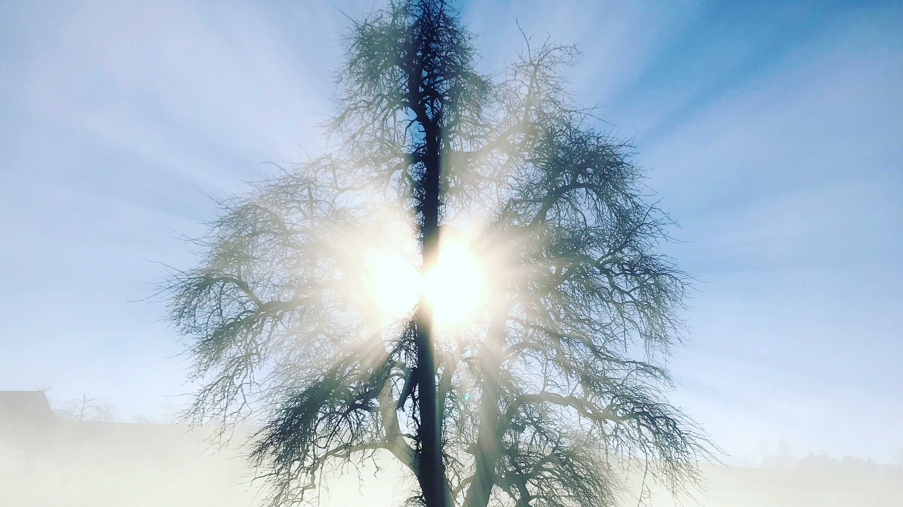 Natur und Waldpflege