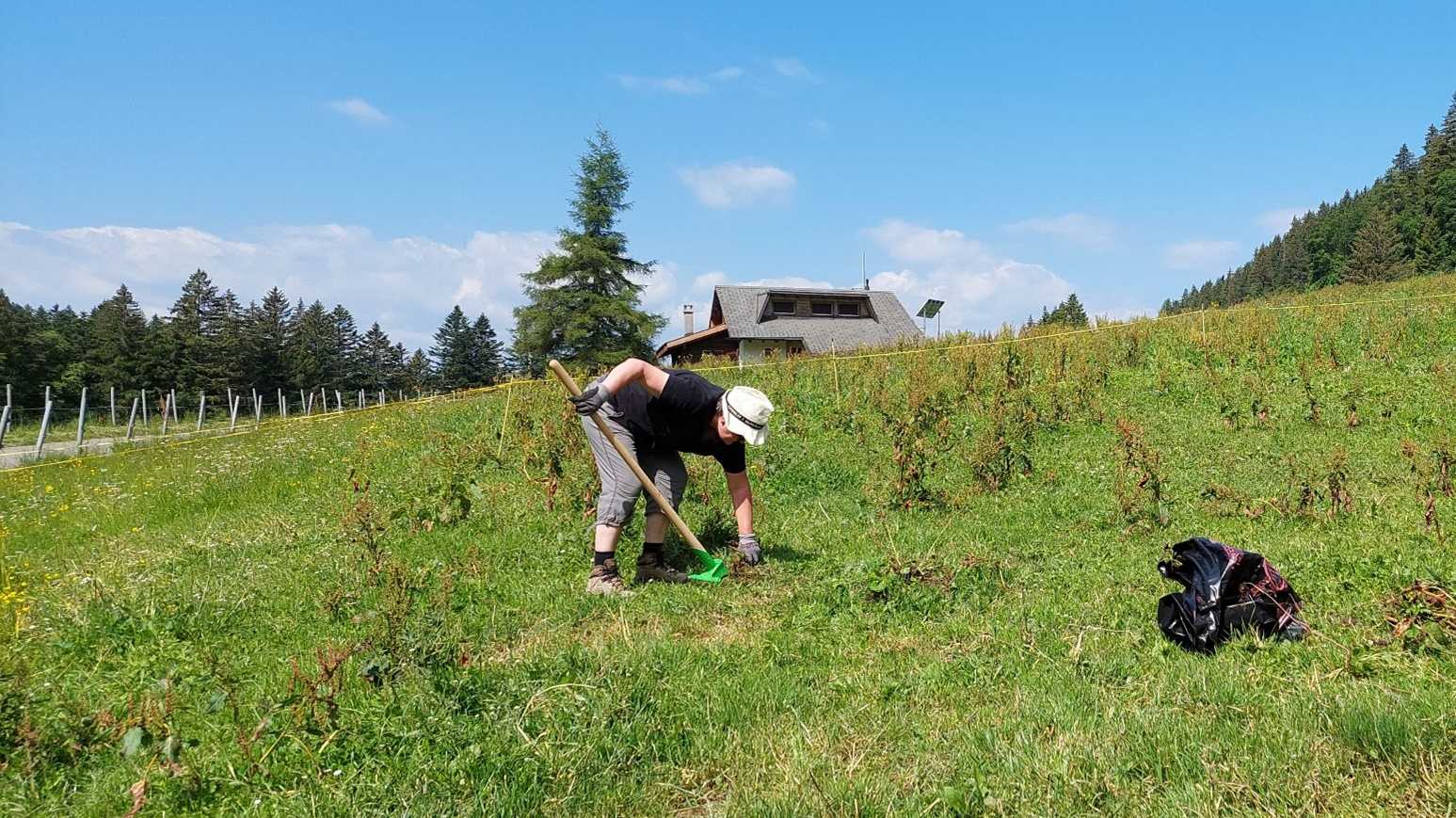 Conservation de la biodiversité des pâturages