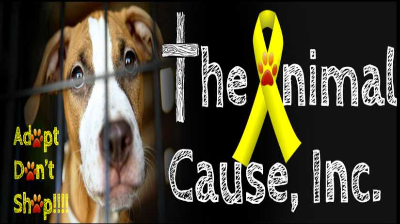 Go To Market Strategy