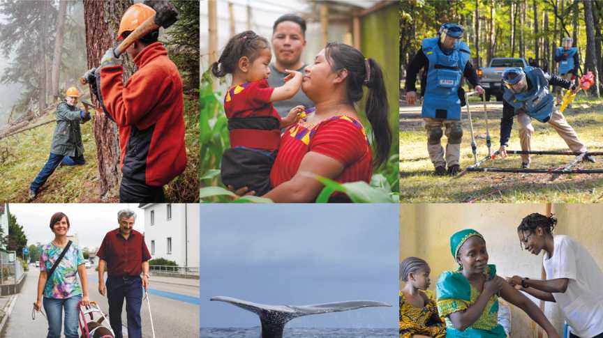 Recherche d'une experte/un expert en comptabilité