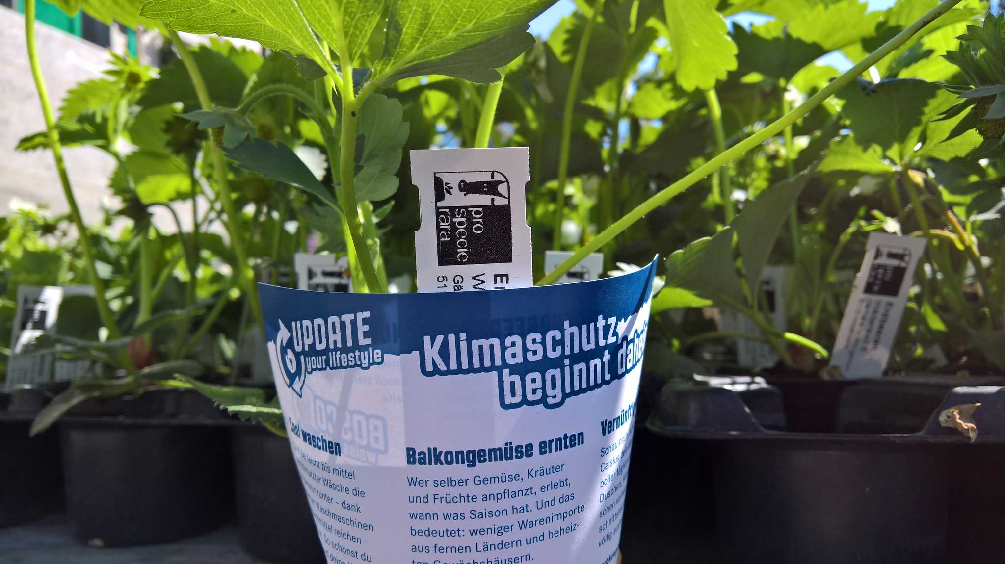 3. Planting Challenge with MS Reinsurance