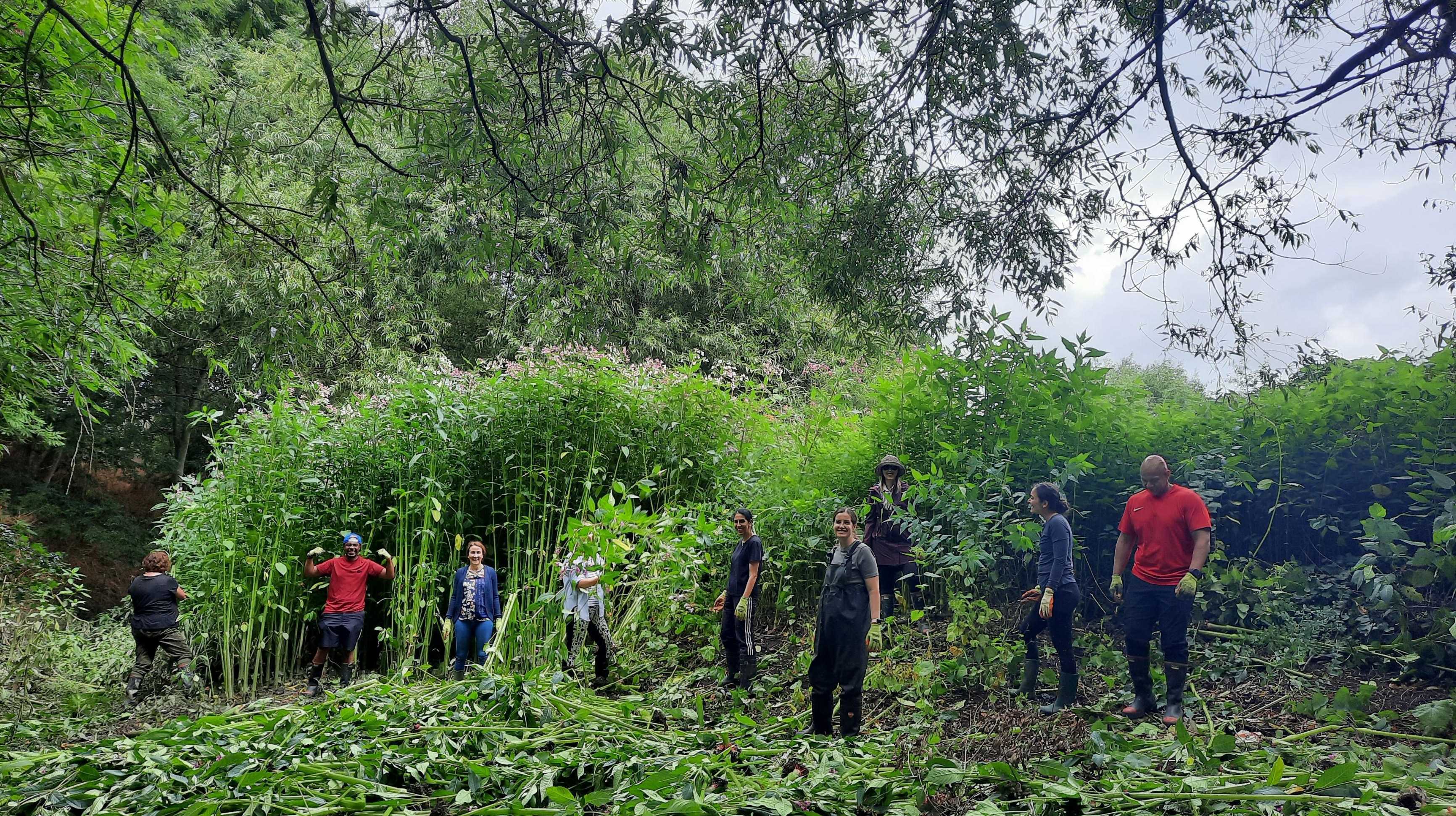 River Thames clean up Battersea Bridge