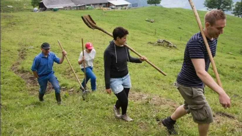 Volunteering at Swiss Mountain Farms Ticino