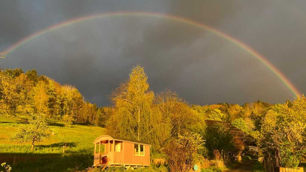Volunteer Help on an Organic Flower Farm in Zurich Oberland