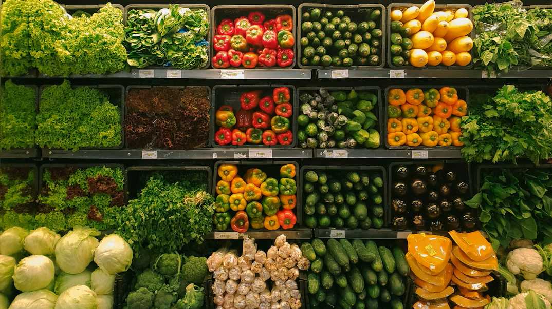 Prevent Food Waste: Volunteer to Save Surplus Produce in Winterthur