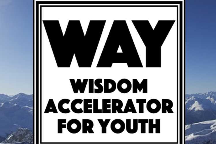 WisdomAccelerator