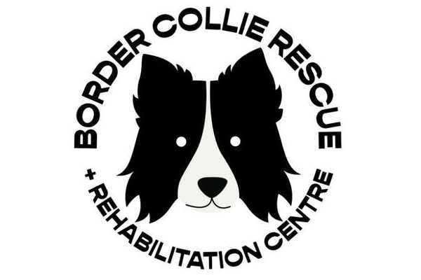 Diane Hart Collie Rescue and Rehabilitation Centre