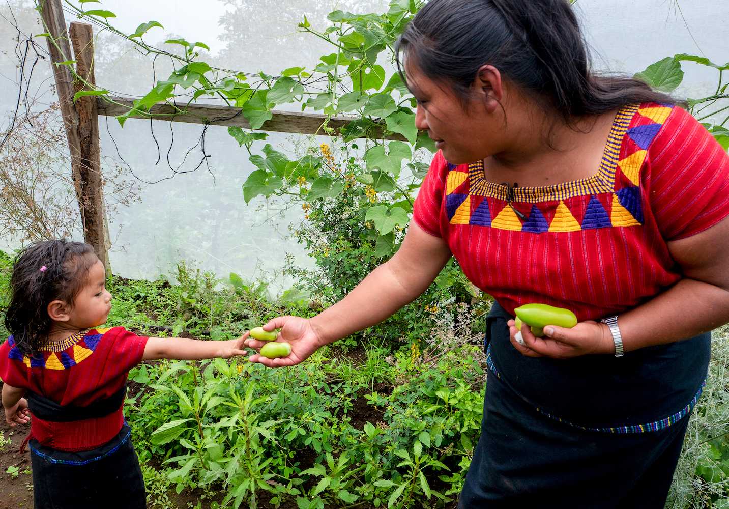 Grupo LatAm Fundraising Campaign Project image
