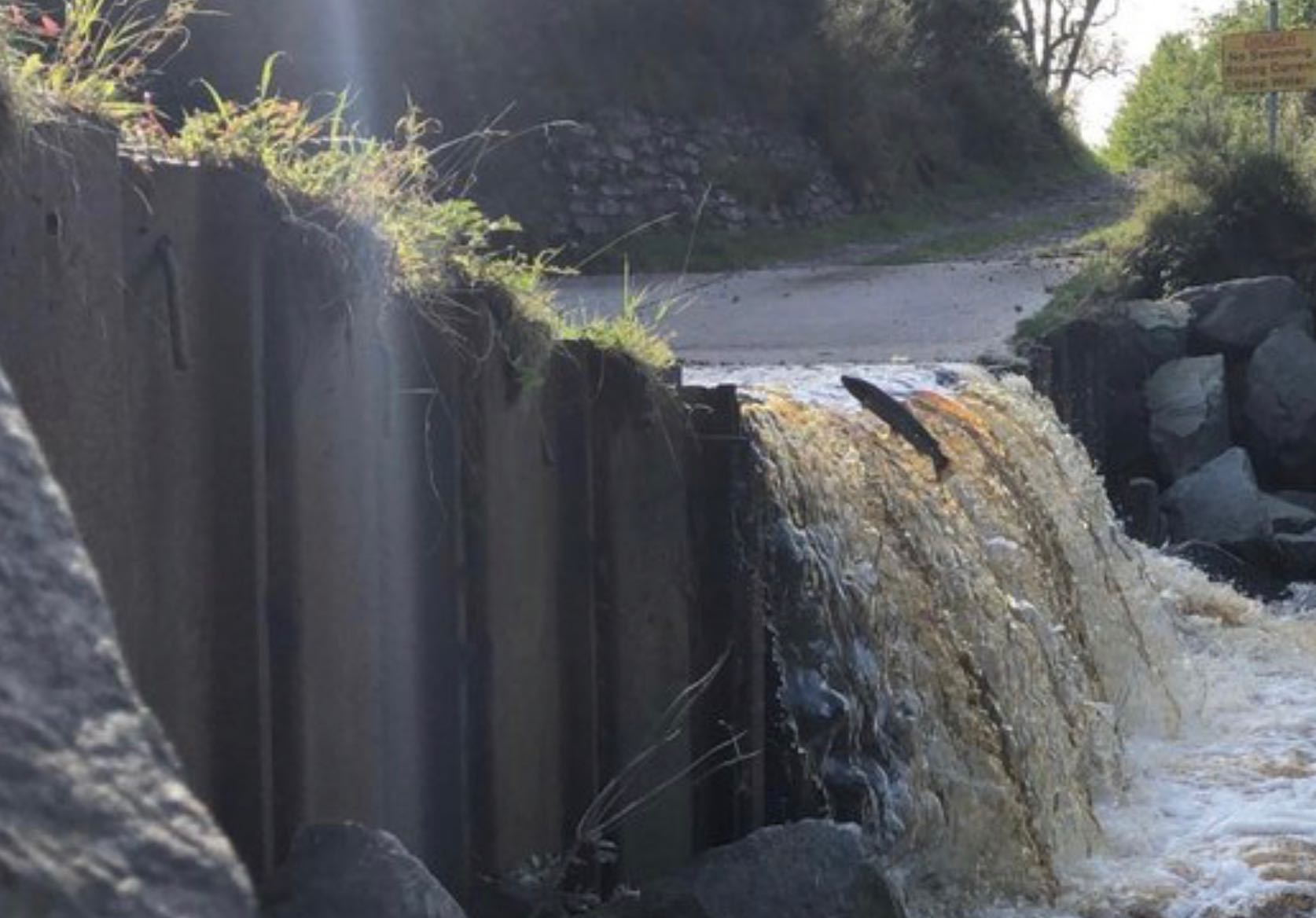 Project Detail image