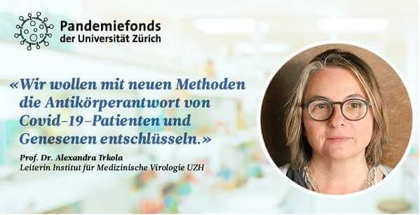 Project Detail image