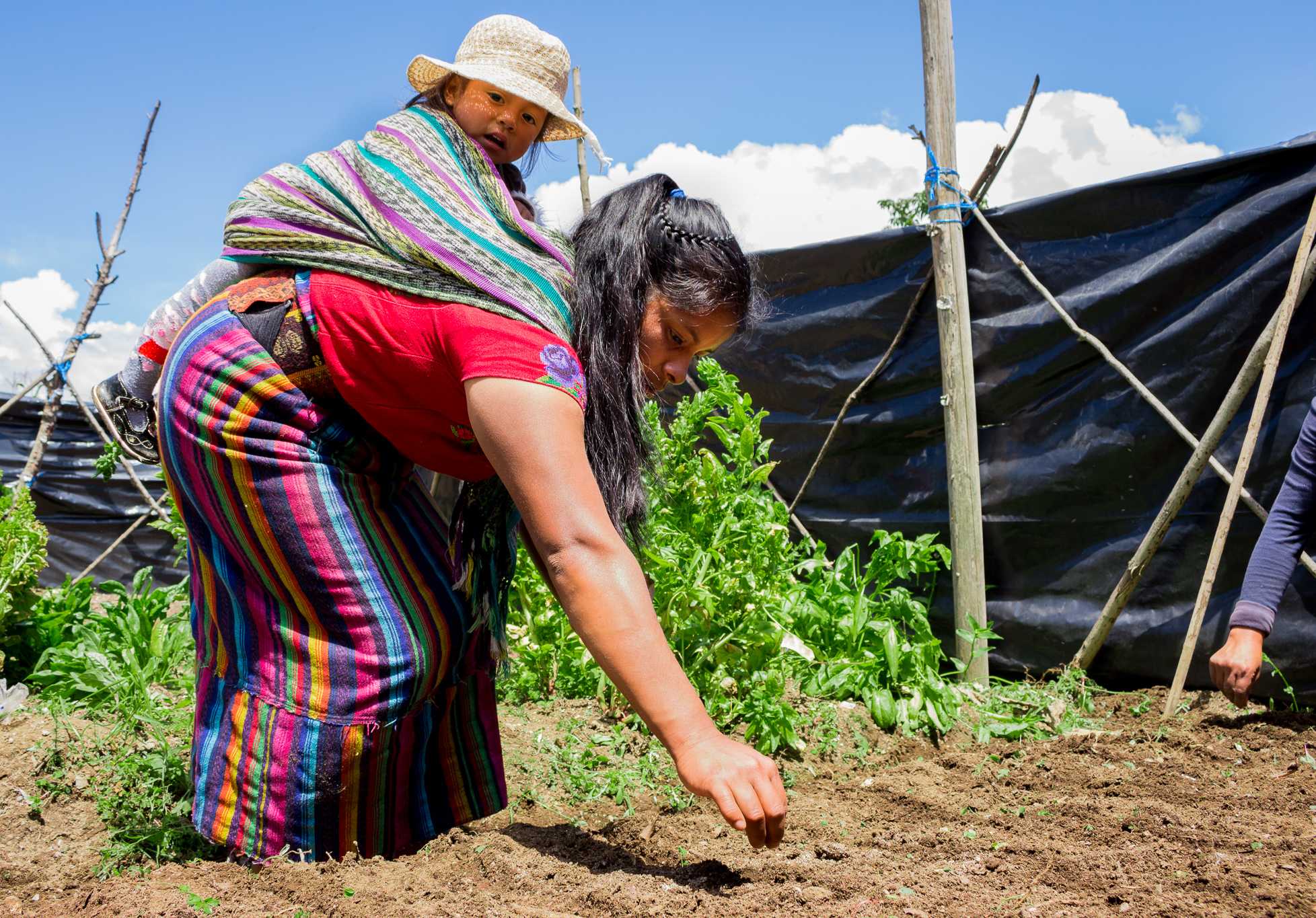 Project Detail image