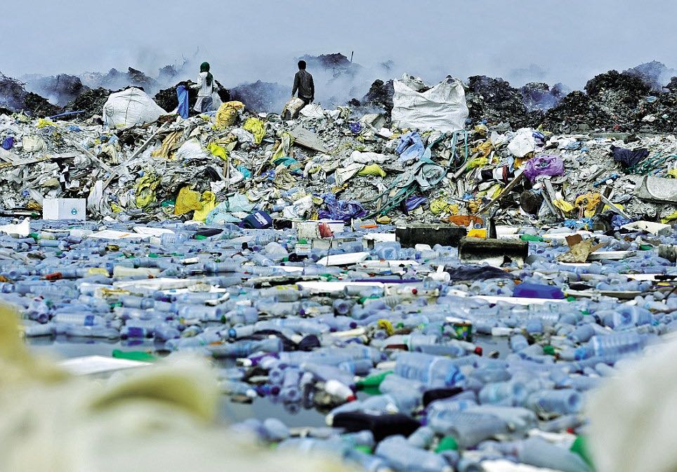 Project Detail image