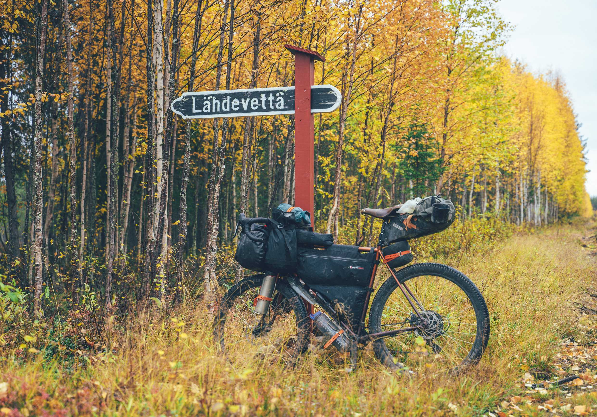 Project Detail image