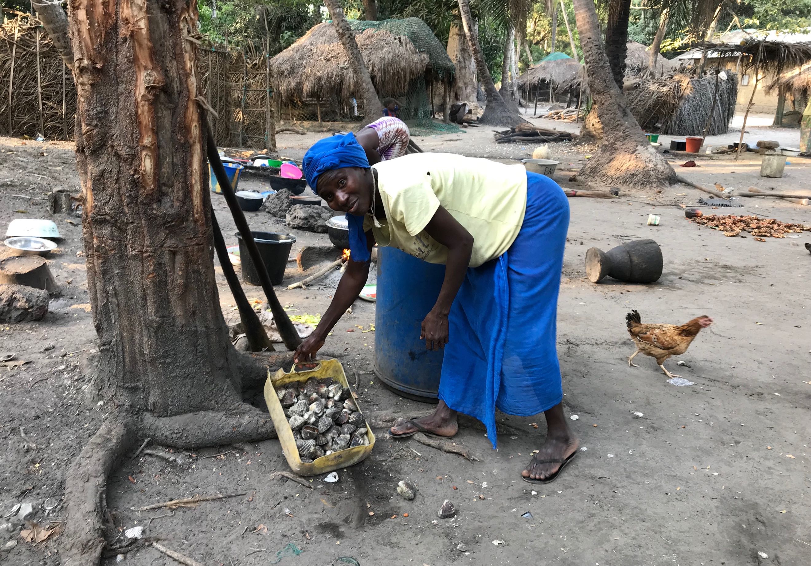 Project Detail image