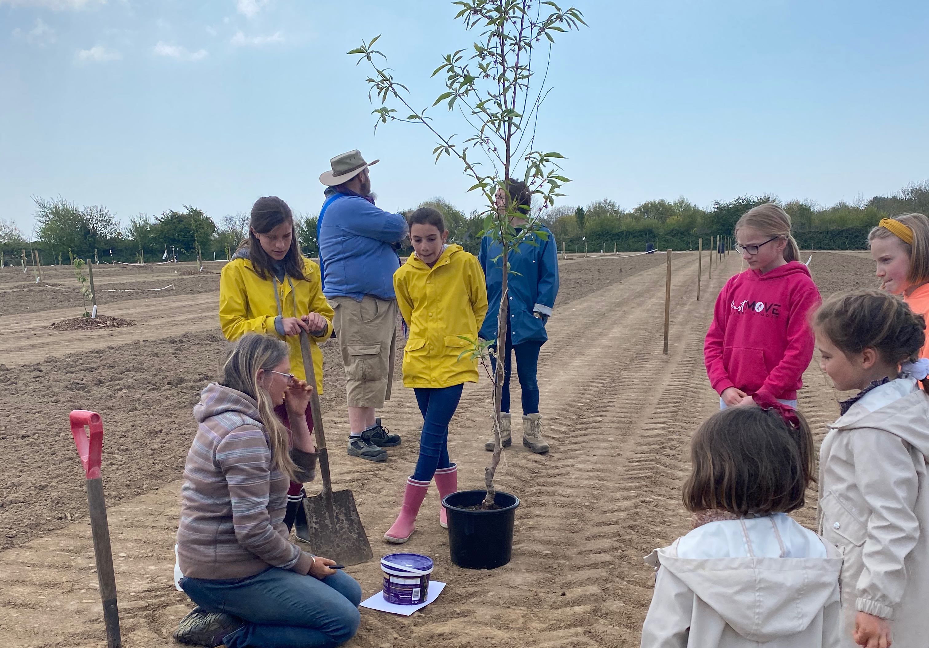 Project Detail image