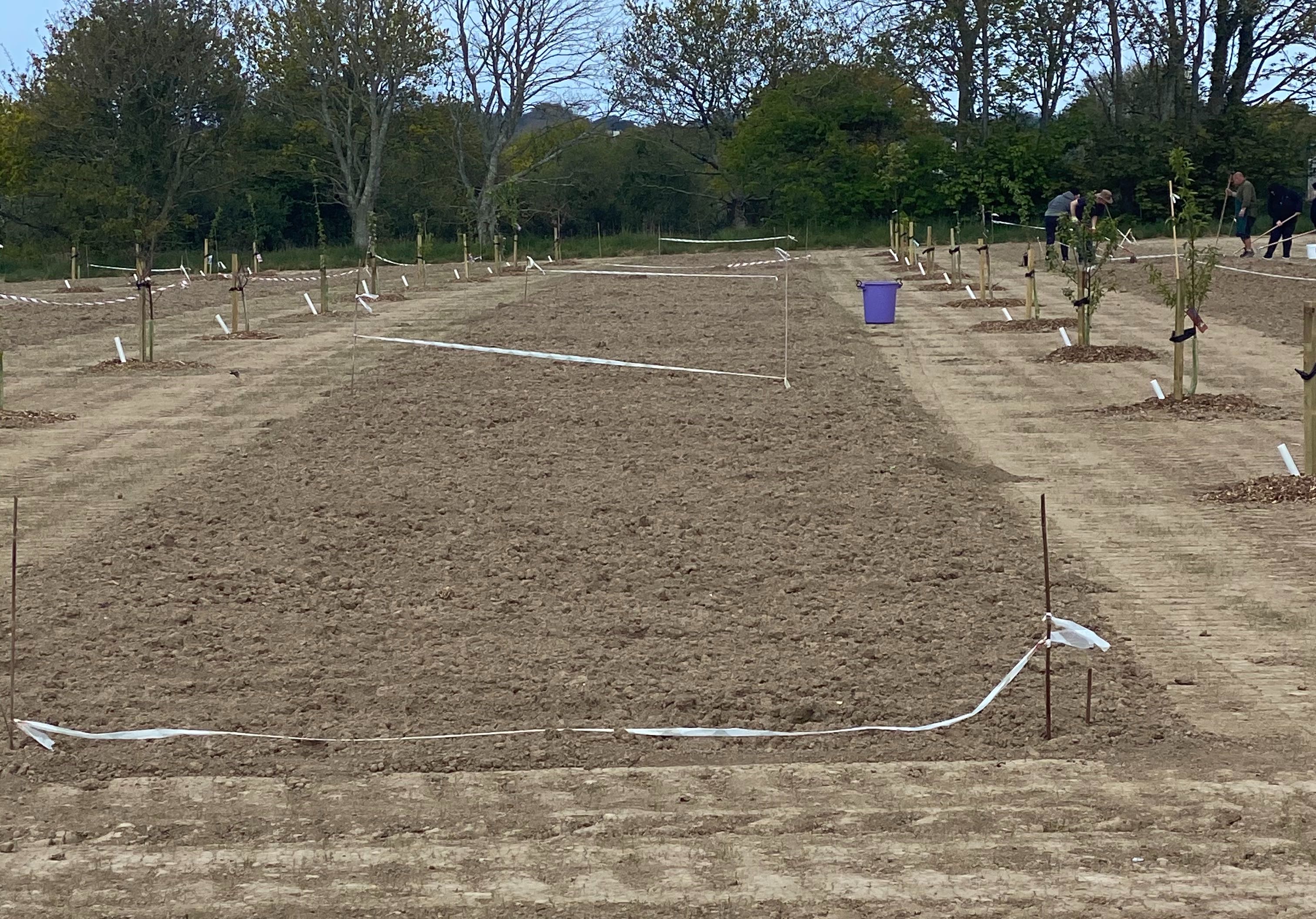 Project Detail image