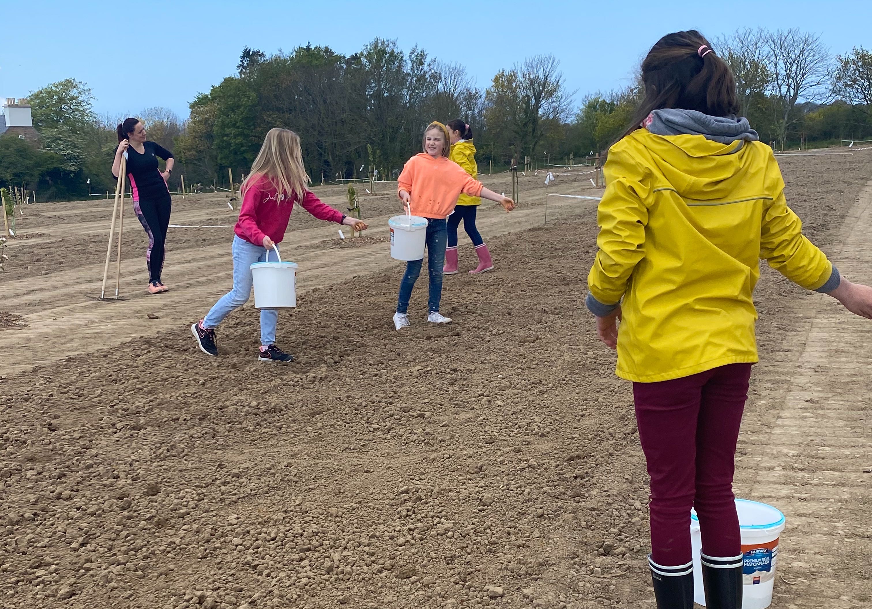 Project Detail image