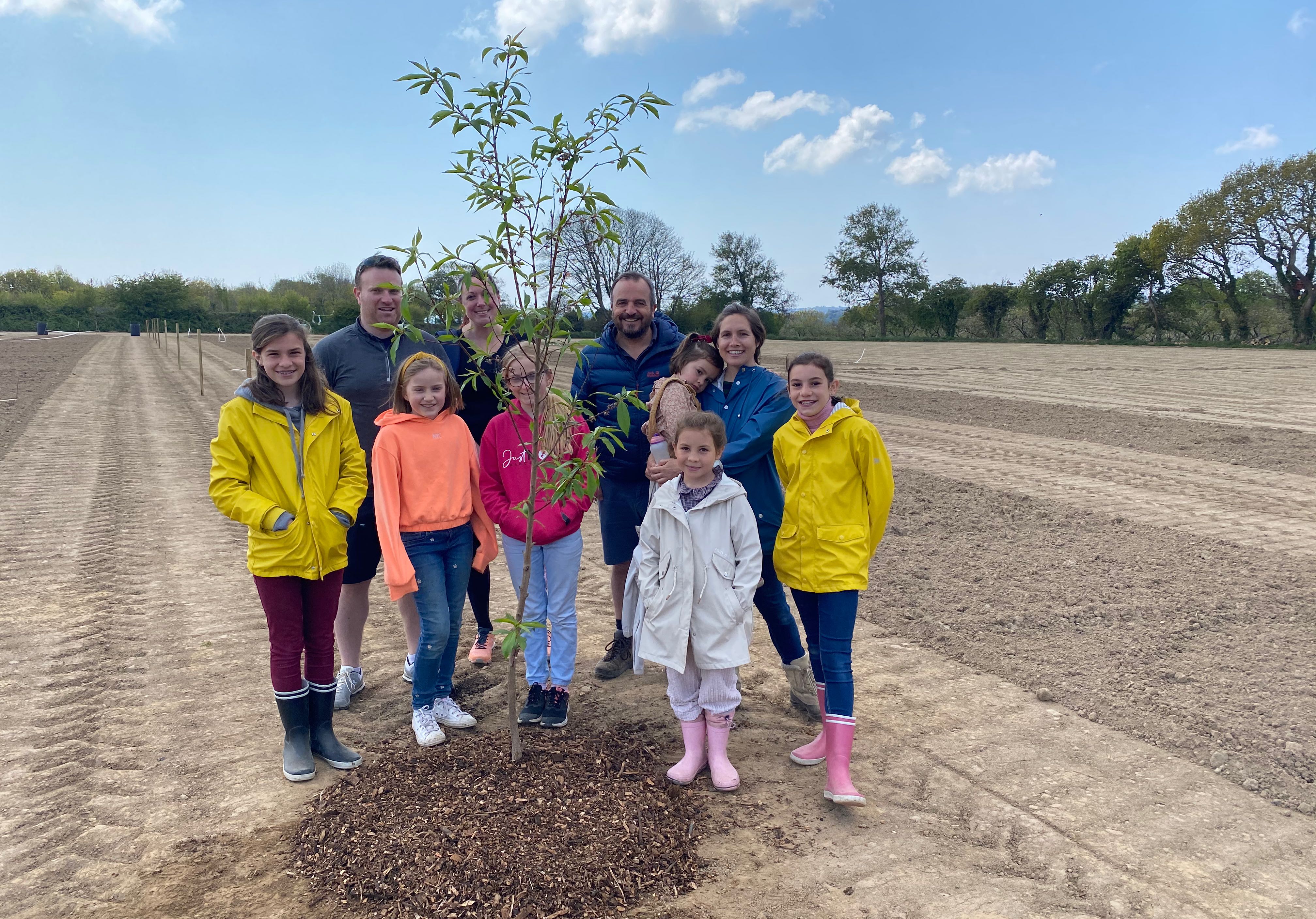 Project Detail image