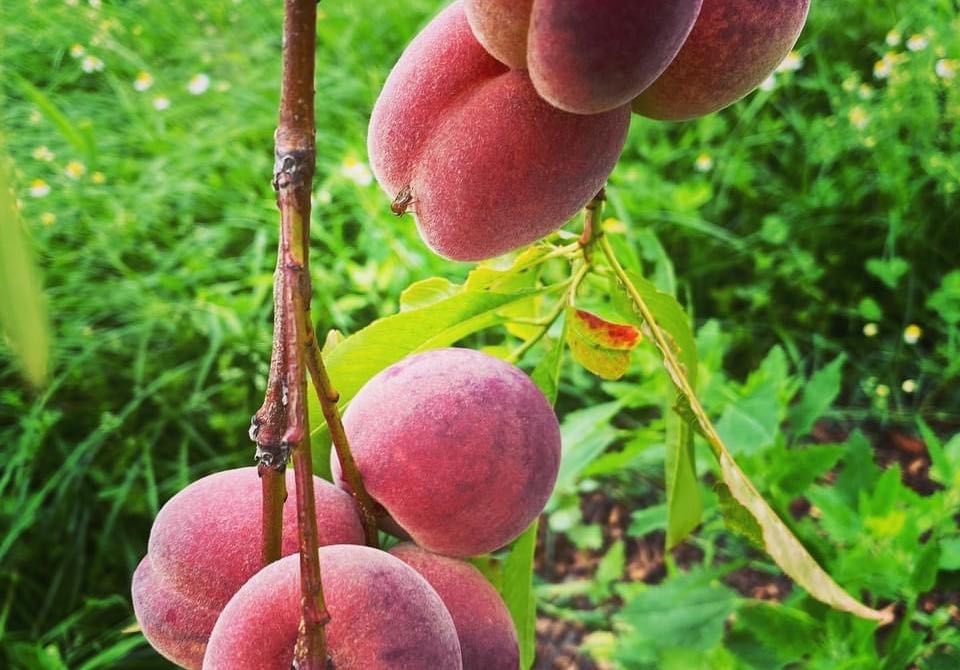 Project Detail image