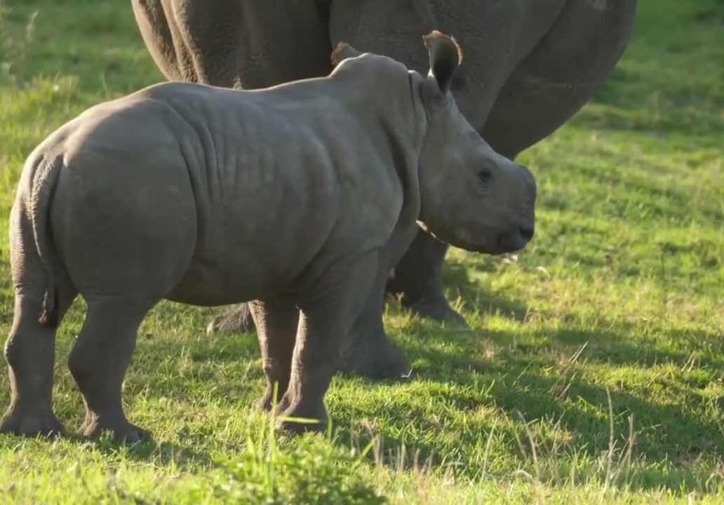 Project Detail image