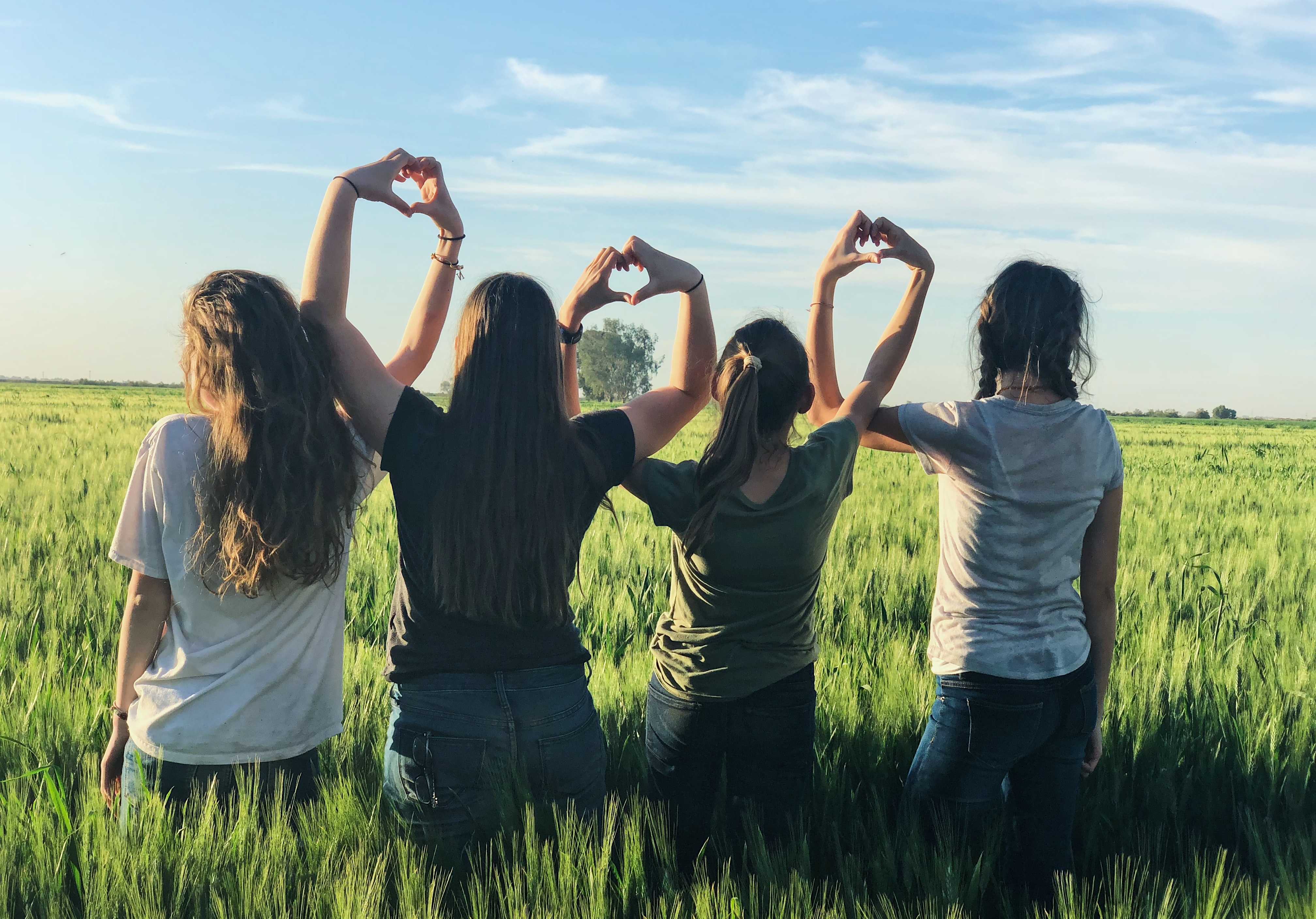 Project Detail image