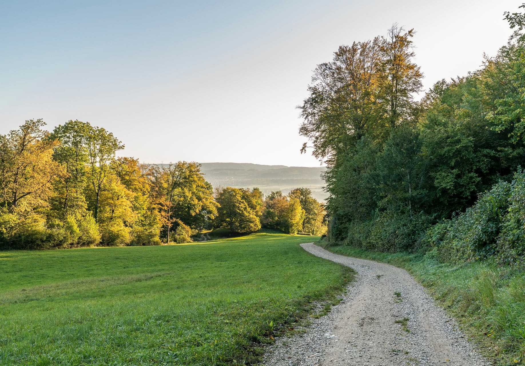 Project Detail image