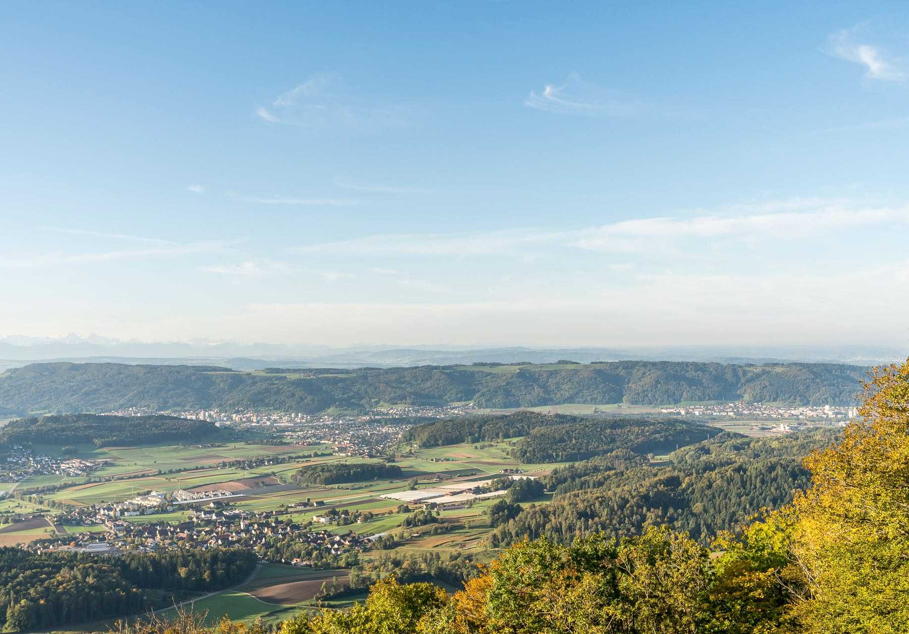 Project Detail image